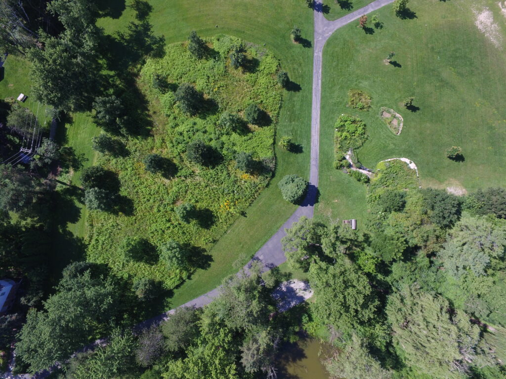 July, 2024 aerial photo of the Thurston oak savanna, showing an ecologically health area of this rare habitat type.